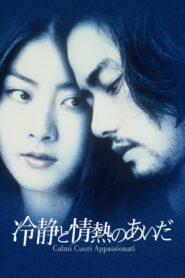 Between Calmness and Passion 2001 one on netflix