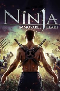 The Ninja Immovable Heart 2014 one on netflix