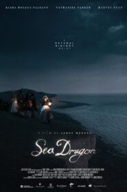 Sea Dragon 2020 one on netflix
