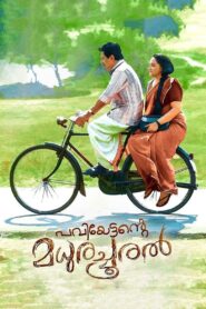 Paviettante Madhurachooral 2018 one on netflix