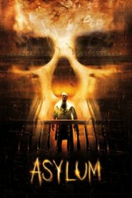 Asylum 2008 one on netflix