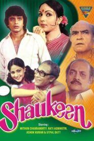 Shaukeen 1982 one on netflix