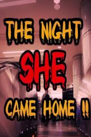 The Night She Came Home!! 2013 one on netflix