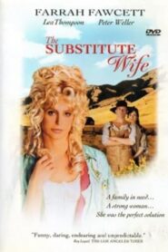 The Substitute Wife 1994 one on netflix