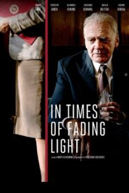 In Times of Fading Light 2017 one on netflix