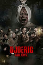 Djoerig Salawe 2020 one on netflix