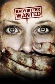 Babysitter Wanted 2007 one on netflix