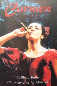 Carmen 1994 one on netflix