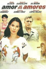 Amor de mis amores 1999 one on netflix