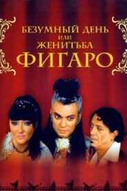 The Crazy Day, or The Marriage of Figaro 2003 one on netflix