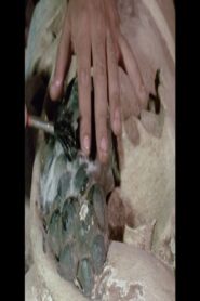 Dos Reis Magos dos Tupiniquins 1985 one on netflix