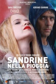 Sandrine in the Rain 2008 one on netflix