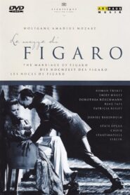 Le nozze di Figaro 1999 one on netflix