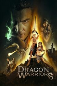 Dudes & Dragons 2015 one on netflix