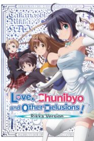 Love, Chunibyo & Other Delusions! Rikka Version 2013 one on netflix