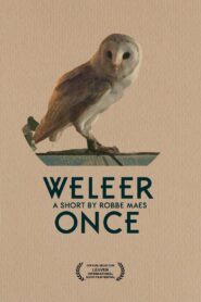 Once 2015 one on netflix