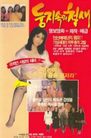 A Migrant Bird in a Nest 1988 one on netflix