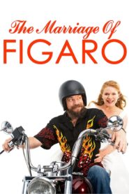 The Marriage of Figaro 2009 one on netflix