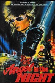 Angel in the Night 1988 one on netflix