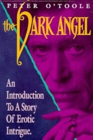 The Dark Angel 1987 one on netflix