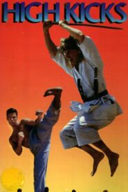 High Kicks 1993 one on netflix