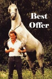 Best Offer 1993 one on netflix