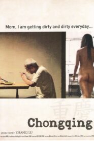 Chongqing 2008 one on netflix