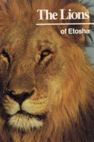 The Lions of Etosha 1981 one on netflix