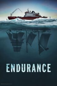 Endurance 2024 one on netflix