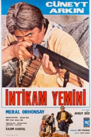 İntikam Yemini 1981 one on netflix