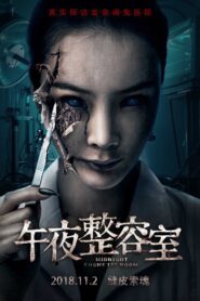 Painted Skin: The Double Mask 2018 one on netflix