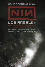 Nine Inch Nails: Live at the Wiltern Theatre 2009 one on netflix