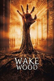 Wake Wood 2011 one on netflix