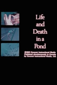 Life and Death in A Pond 1981 one on netflix