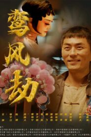 鸾凤劫 2024 one on netflix