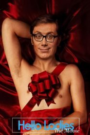 Hello Ladies: The Movie 2014 one on netflix