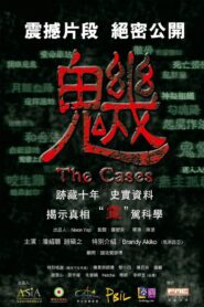 The Cases 2012 one on netflix
