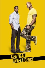 Central Intelligence 2016 one on netflix