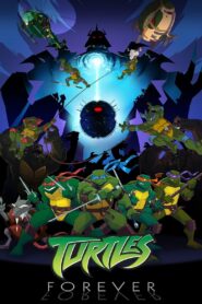Turtles Forever 2009 one on netflix