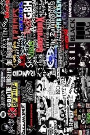 25 Years of Punk 2001 one on netflix