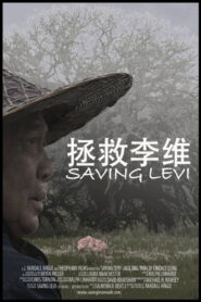 Saving Levi 2009 one on netflix