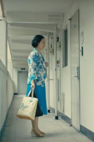 Uninvited 2017 one on netflix