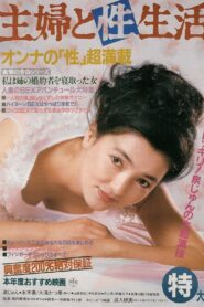 Shufu to Sei-seikatsu 1984 one on netflix