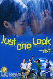 Just One Look 2002 one on netflix