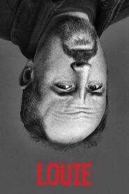 Louie – Sight Sound and Story 2015 one on netflix