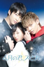 You Are Brilliant Like a Spica 2019 one on netflix