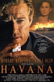 Havana 1990 one on netflix