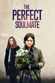 The Perfect Soulmate 2017 one on netflix