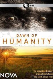 Dawn of Humanity 2015 one on netflix