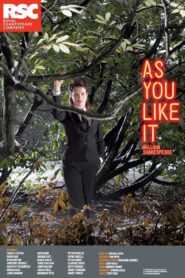 As You Like It 2010 one on netflix